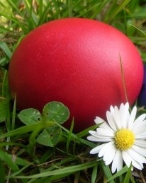 Foto: Karoline K�rndl